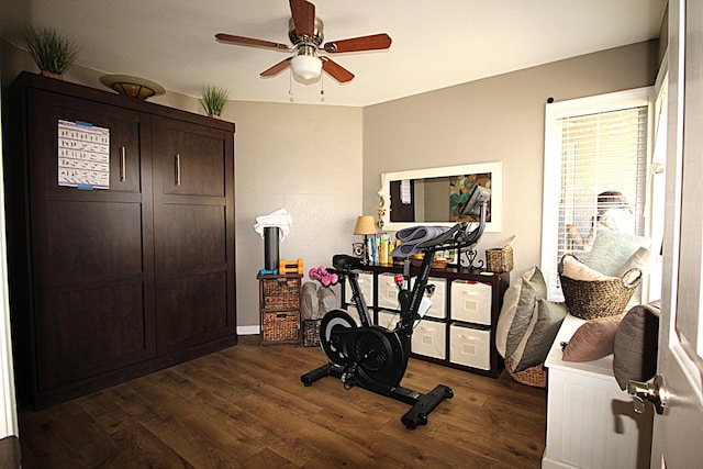 workout room with dark wood-style floors and a ceiling fan