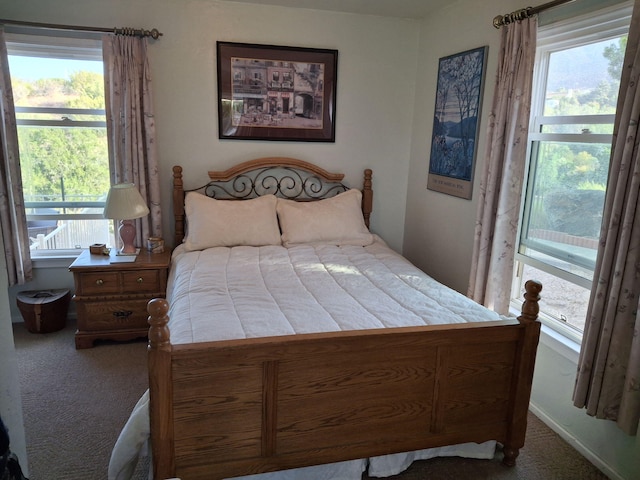 bedroom with carpet flooring