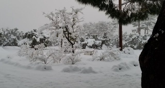 view of snow covered land