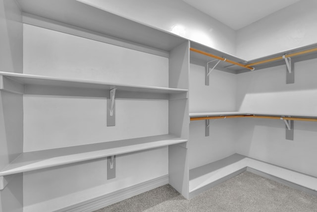 spacious closet featuring light colored carpet