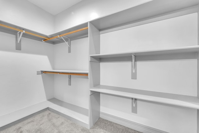 spacious closet with light colored carpet