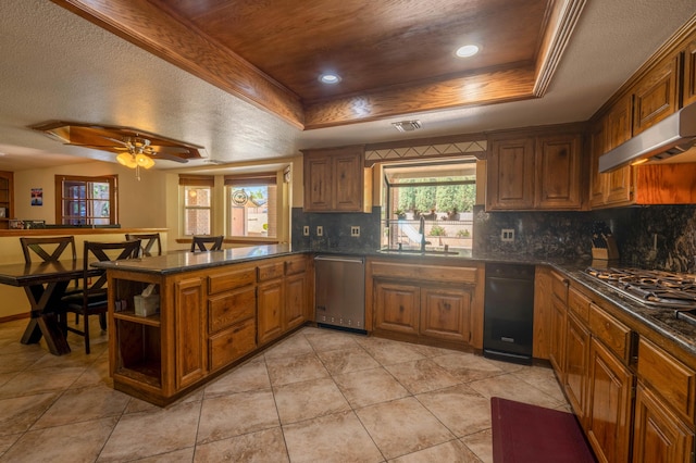 kitchen with a raised ceiling, ceiling fan, stainless steel dishwasher, and sink