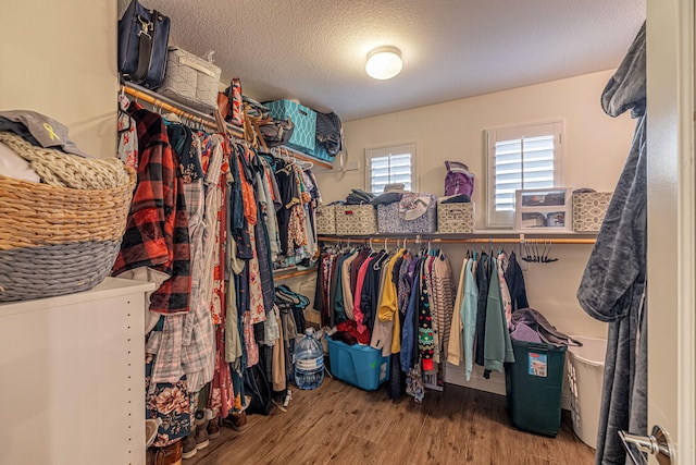 4104 Rainer Pl, Quartz Hill, CA 93536 - spacious closet featuring wood finished floors