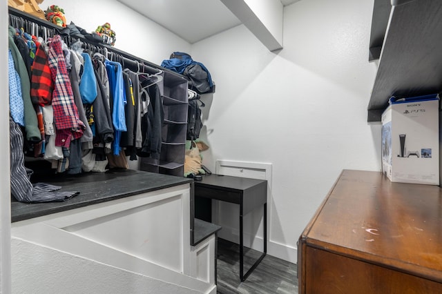 spacious closet with wood-type flooring