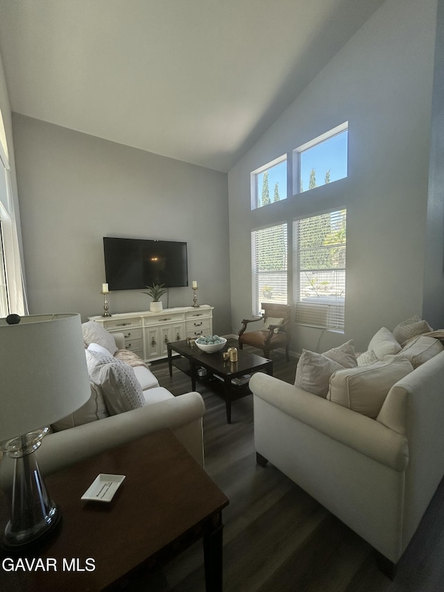 38836 Calistoga St, Palmdale, CA 93551 - living room featuring dark wood-type flooring and high vaulted ceiling