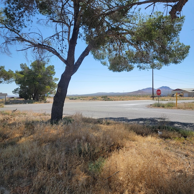 California City Blvd, California City, CA 93505 - photo 9