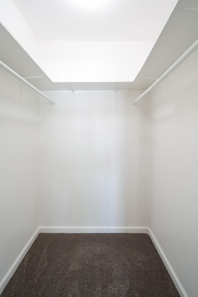 44251 Date Ave, Lancaster, CA 93534 - walk in closet with carpet floors