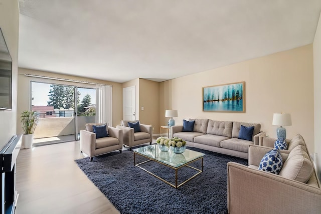 living area with wood finished floors