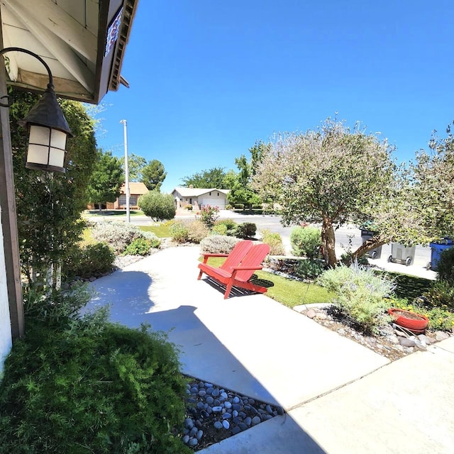 view of yard with a patio