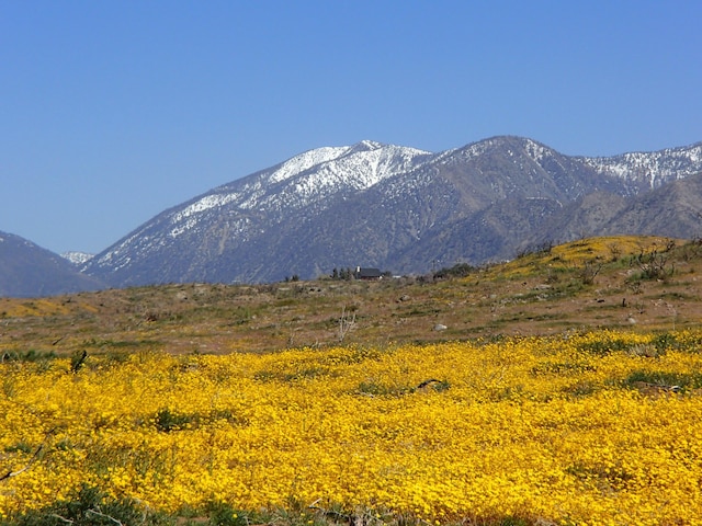 Listing photo 2 for Pinon Pine Ln, Juniper Hills CA 93543