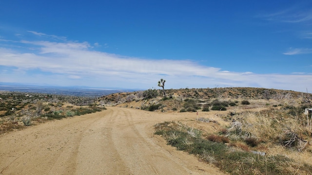 Listing photo 3 for Pinon Pine Ln, Juniper Hills CA 93543