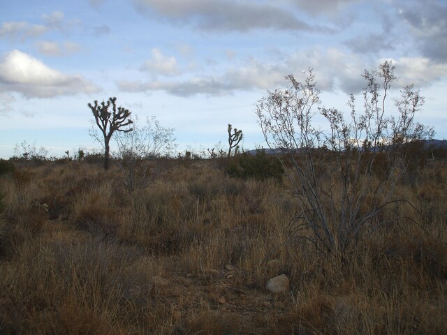 00 SE Bob Gap Rd, Llano, CA 93544