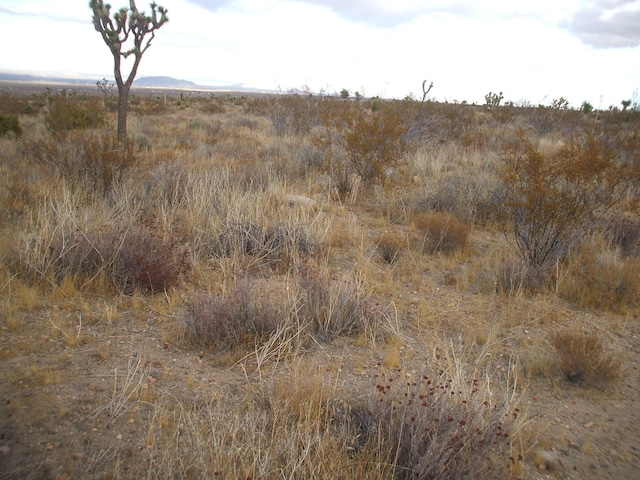 00 SE Bob Gap Rd, Llano, CA 93544
