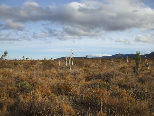 00 SE Bob Gap Rd, Llano, CA 93544