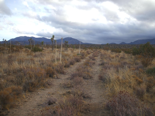 00 SE Bob Gap Rd, Llano, CA 93544