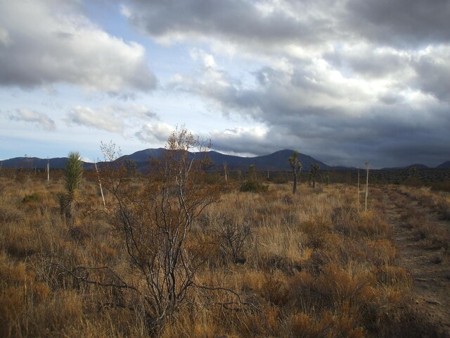 00 SE Bob Gap Rd, Llano, CA 93544