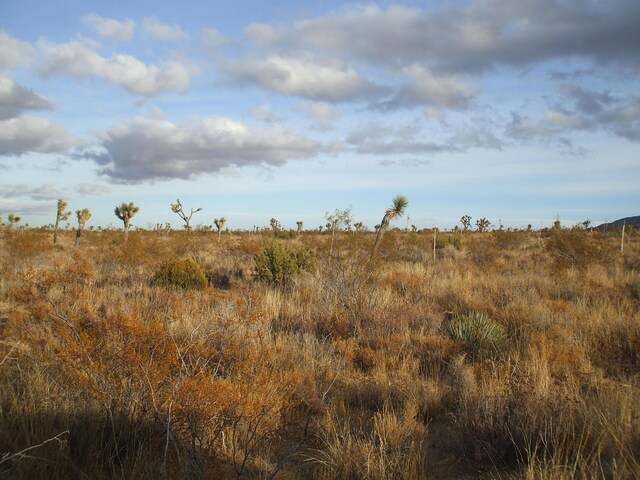 00 SE Bob Gap Rd, Llano, CA 93544