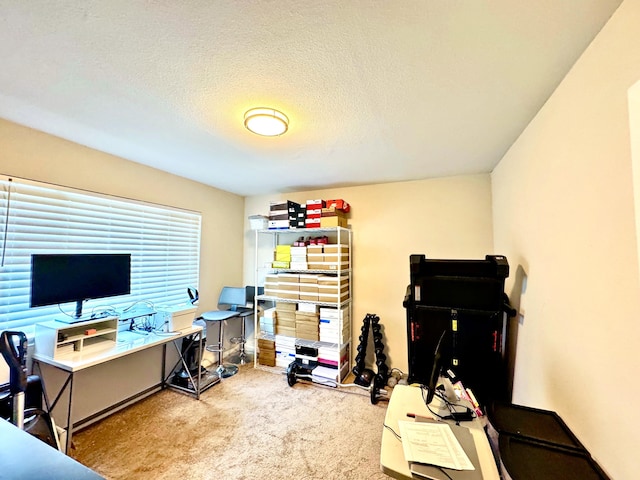 43744 Beech Ave, Lancaster, CA 93534 - carpeted home office featuring a textured ceiling