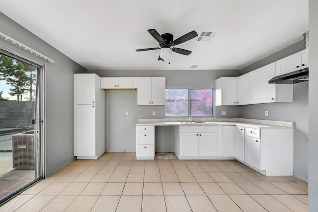 2820 S S Ave, Palmdale, CA 93550 - kitchen featuring a sink, plenty of natural light, under cabinet range hood, and visible vents