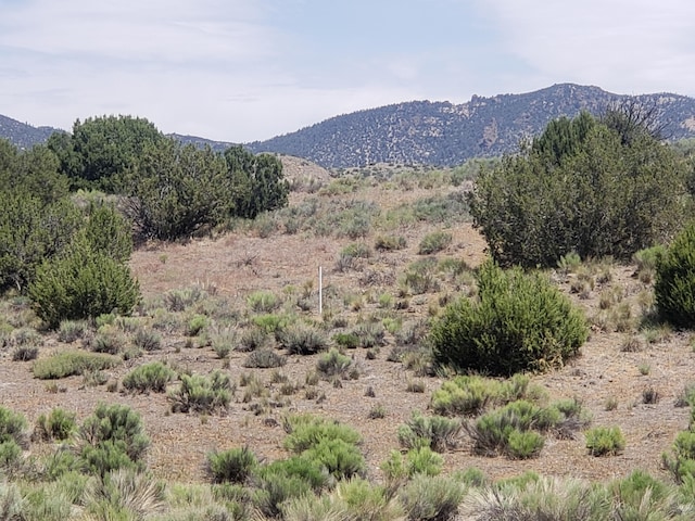 Schumaker Rd, Tehachapi, CA 93561