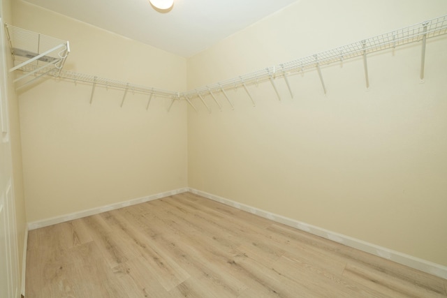 walk in closet featuring light wood-type flooring