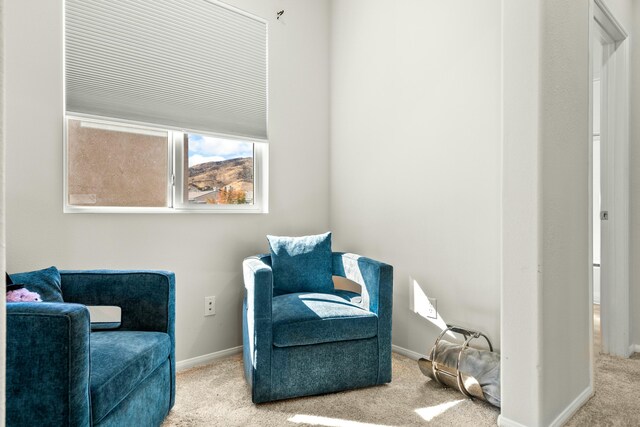 living area featuring carpet flooring