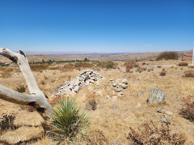 None E 116th Street # 110, Juniper Hills, CA 93543 - photo 2