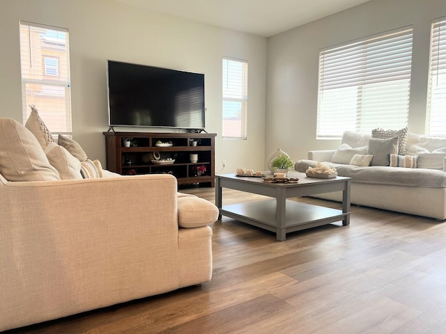 living room with wood-type flooring