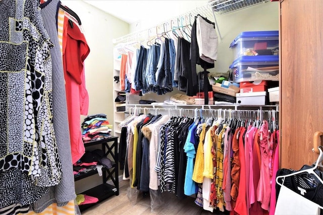 spacious closet with hardwood / wood-style floors