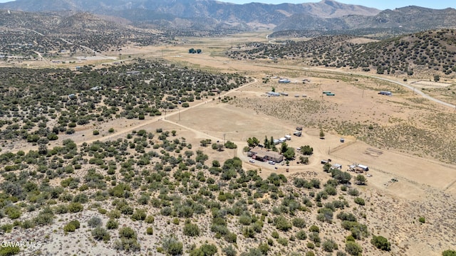 24701 Chimanimani Ct, Tehachapi, CA 93561 - photo 12