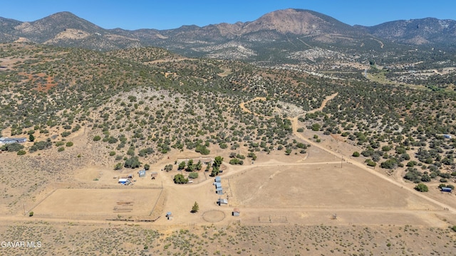 24701 Chimanimani Ct, Tehachapi, CA 93561 - photo 11