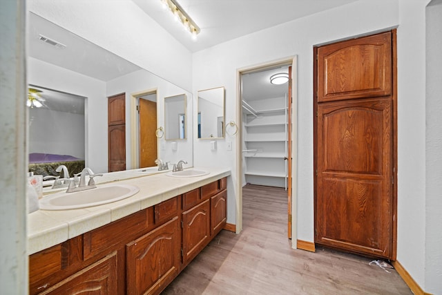 bathroom with hardwood / wood-style flooring and vanity