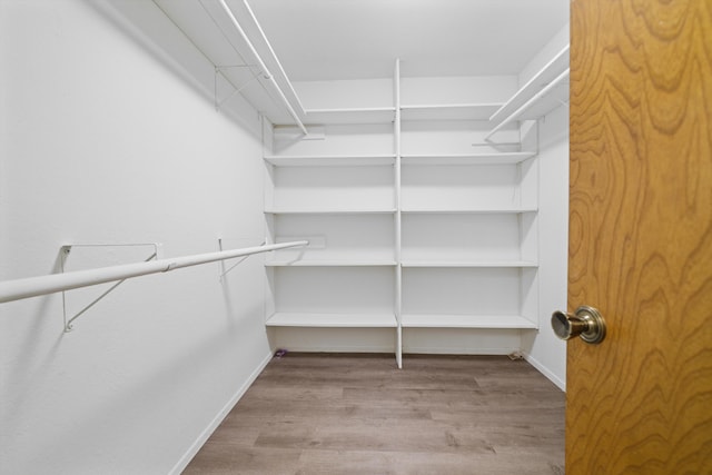 spacious closet with light hardwood / wood-style flooring