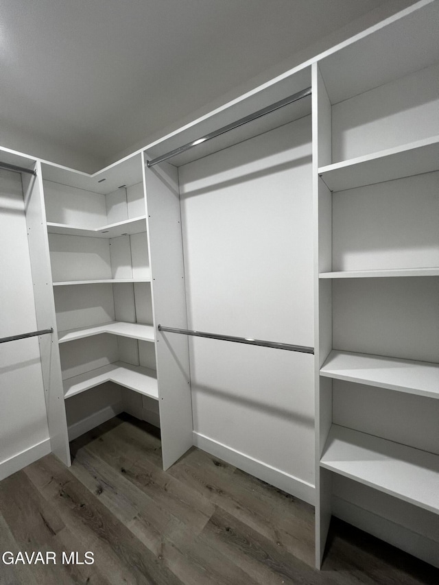 10165 E E Ave Unit S10, Littlerock, CA 93543 - spacious closet with wood finished floors