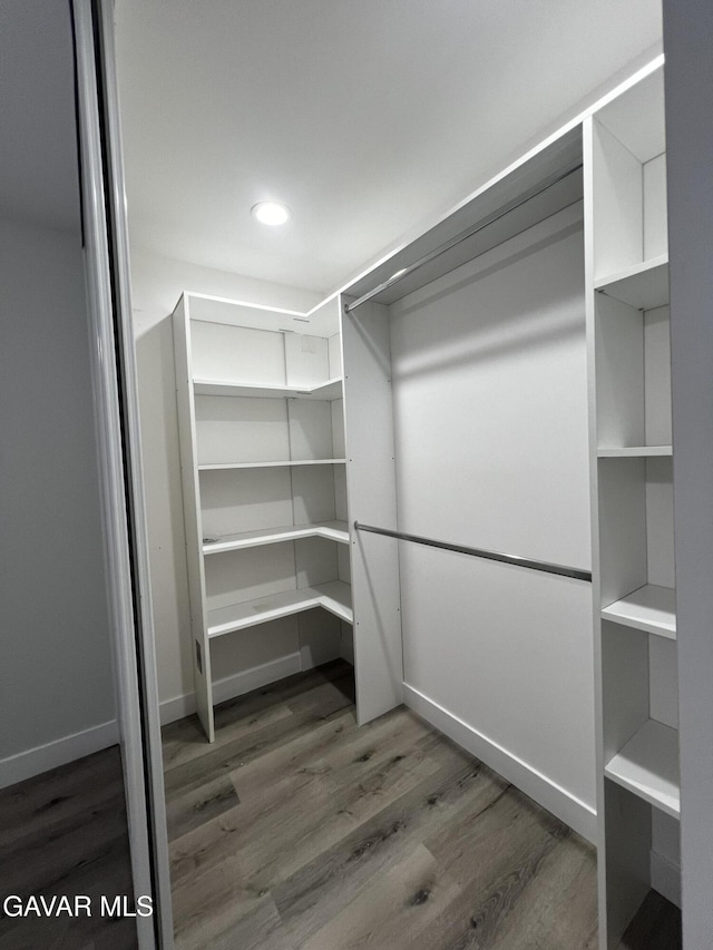 10165 E E Ave Unit S10, Littlerock, CA 93543 - spacious closet with wood finished floors