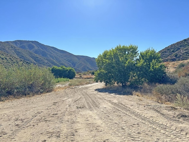 42930 Lake Hughes Rd, Lake Hughes, CA 93532 - view of mountain feature