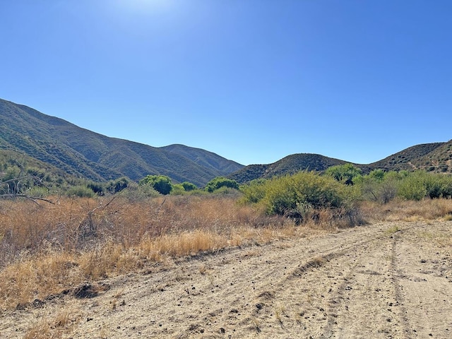 42930 Lake Hughes Rd, Lake Hughes, CA 93532 - view of mountain feature