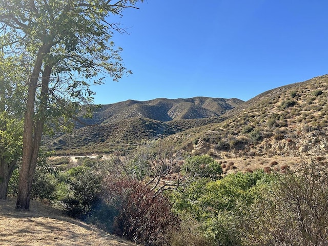 view of mountain feature