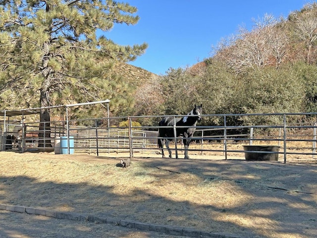 view of horse barn featuring a rural view