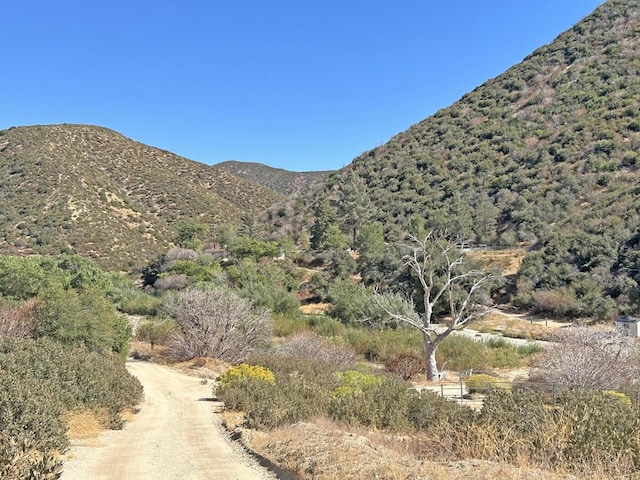 42930 Lake Hughes Rd, Lake Hughes, CA 93532 - mountain view