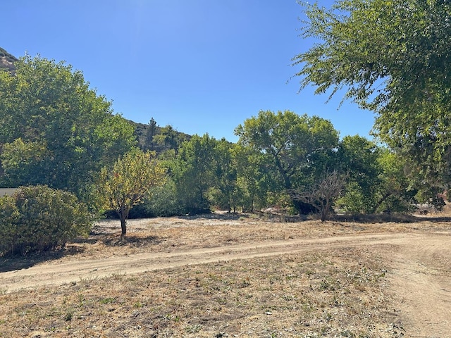42930 Lake Hughes Rd, Lake Hughes, CA 93532 - view of yard with a rural view