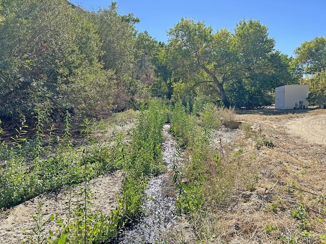 42930 Lake Hughes Rd, Lake Hughes, CA 93532 - view of nature