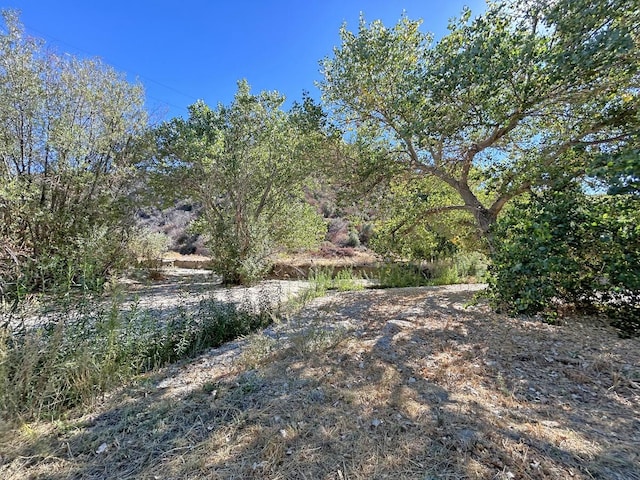 42930 Lake Hughes Rd, Lake Hughes, CA 93532 - view of yard