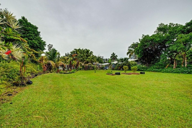 15-742 N Puni Mauka Lp, Pahoa, HI 96778 - photo 14
