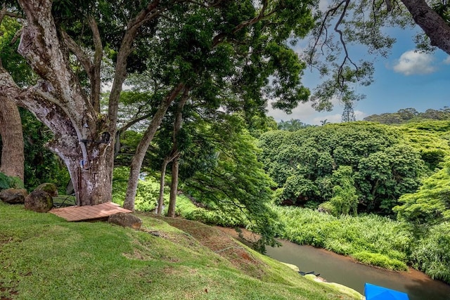6281 Hauaala Rd Unit 2, Kapaa, HI 96746 - view of green lawn