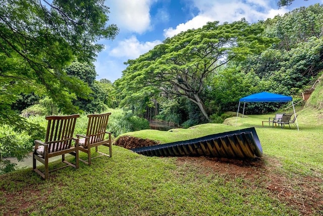 6281 Hauaala Rd Unit 2, Kapaa, HI 96746 - view of grassy yard