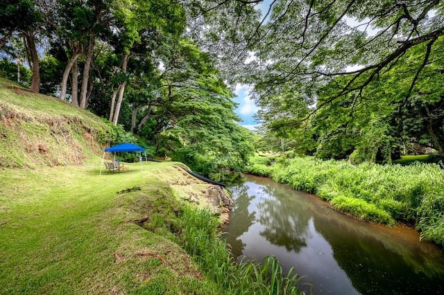 6281 Hauaala Rd Unit 2, Kapaa, HI 96746 - water view