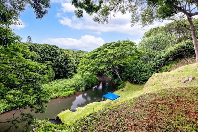 6281 Hauaala Rd Unit 2, Kapaa, HI 96746 - aerial view