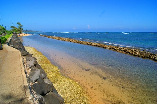 1025 Moanakai Rd, Kapaa, HI 96746 - photo 10
