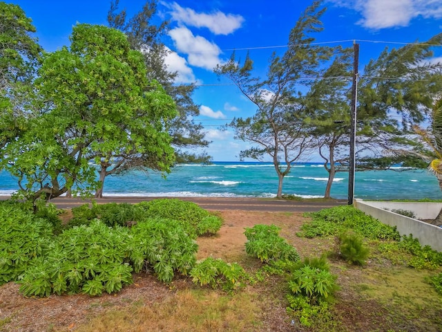 1025 Moanakai Rd, Kapaa, HI 96746 - photo 1